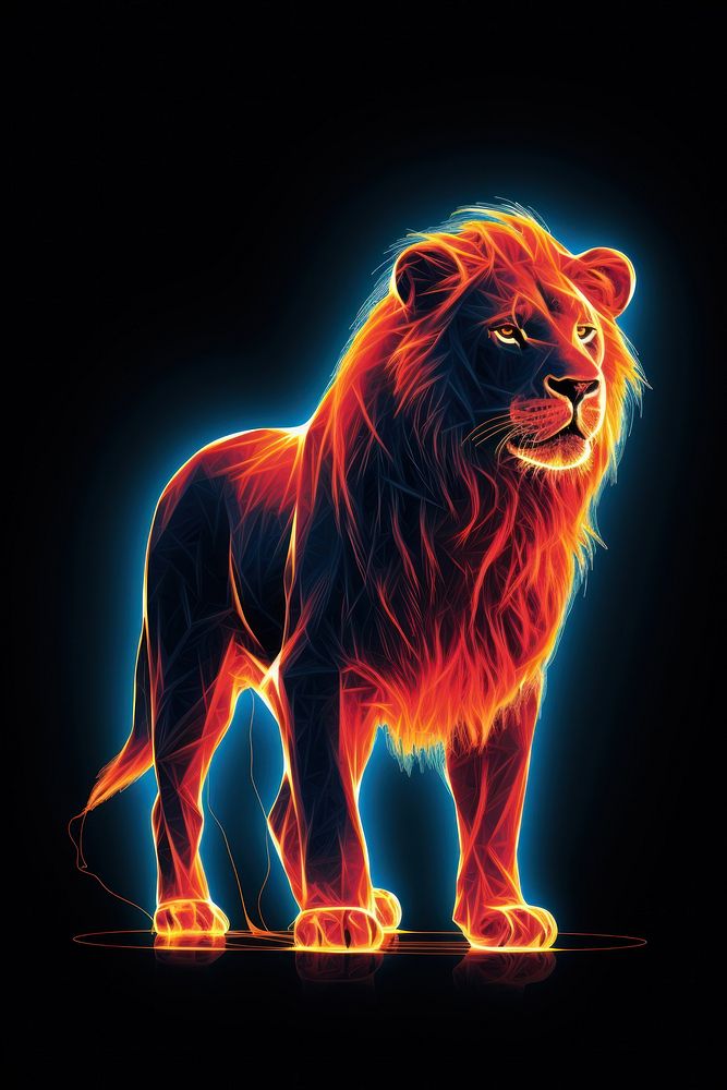 Illustration roaring lion neon rim light mammal animal illuminated.