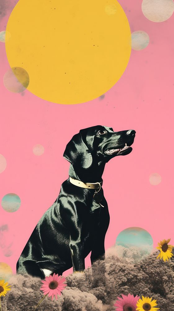 Dreamy Retro Collages whit a happy dog animal mammal pet.