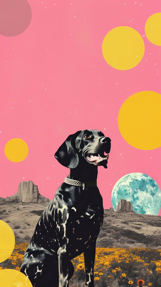 Dreamy Retro Collages whit a happy dog outdoors mammal animal.