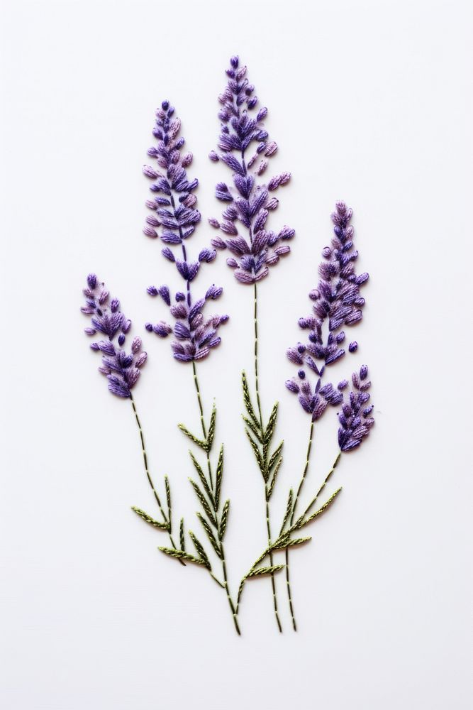A lavender in embroidery style blossom flower plant.