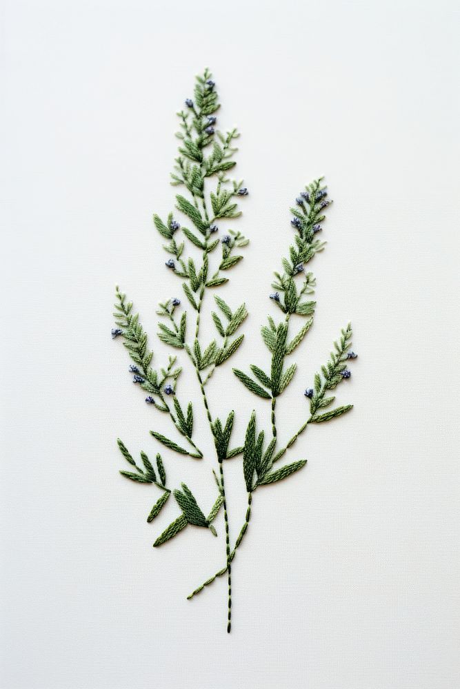 Herb in embroidery style herbs plant leaf.
