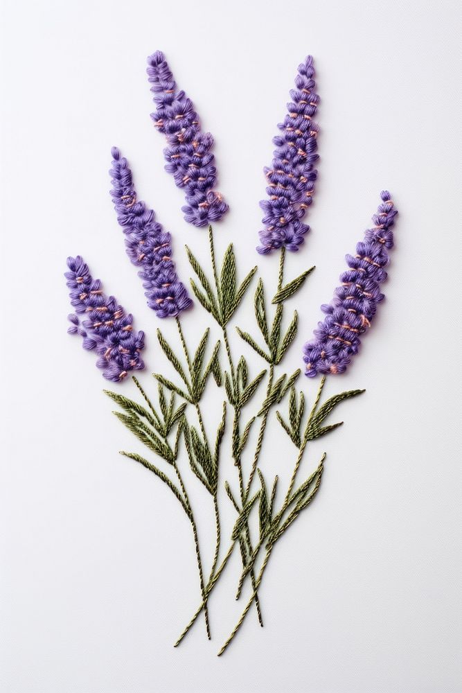 Lavender in embroidery style blossom flower plant.