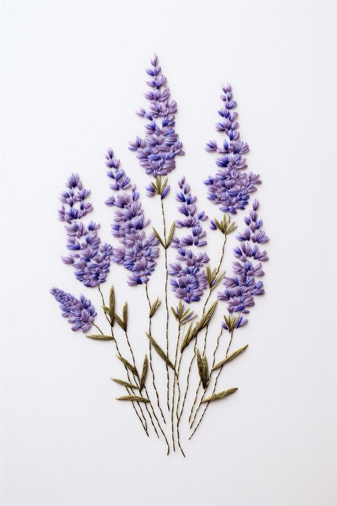 Lavender in embroidery style blossom pattern flower.