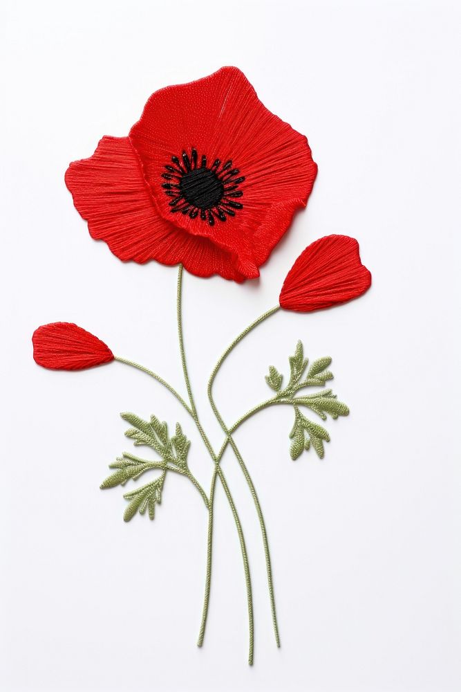Poppy in embroidery style flower plant inflorescence.