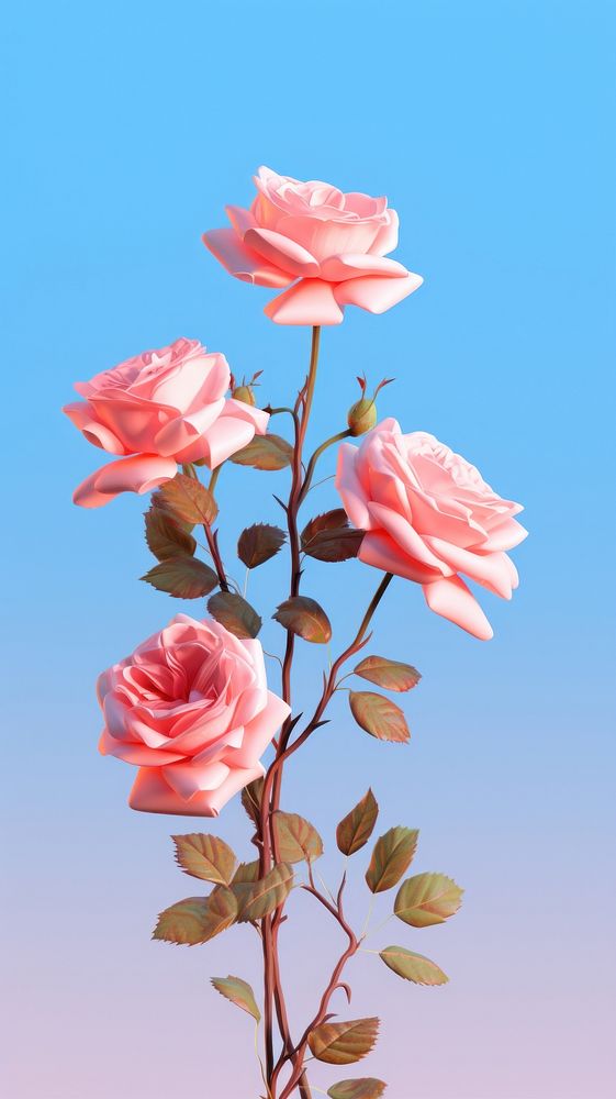 Love rose blossom flower.