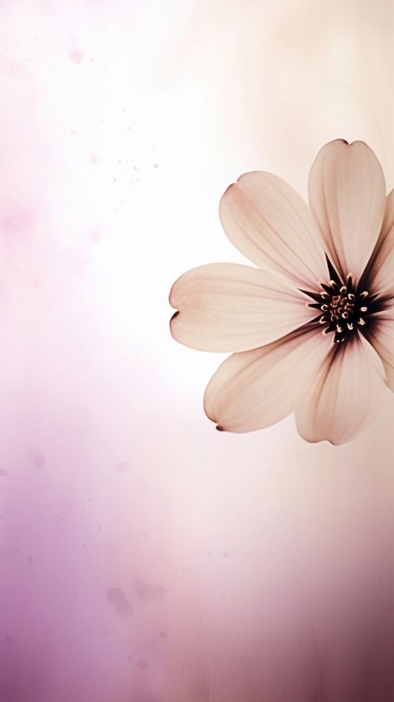  Beautiful flower blossom petal plant. AI generated Image by rawpixel.