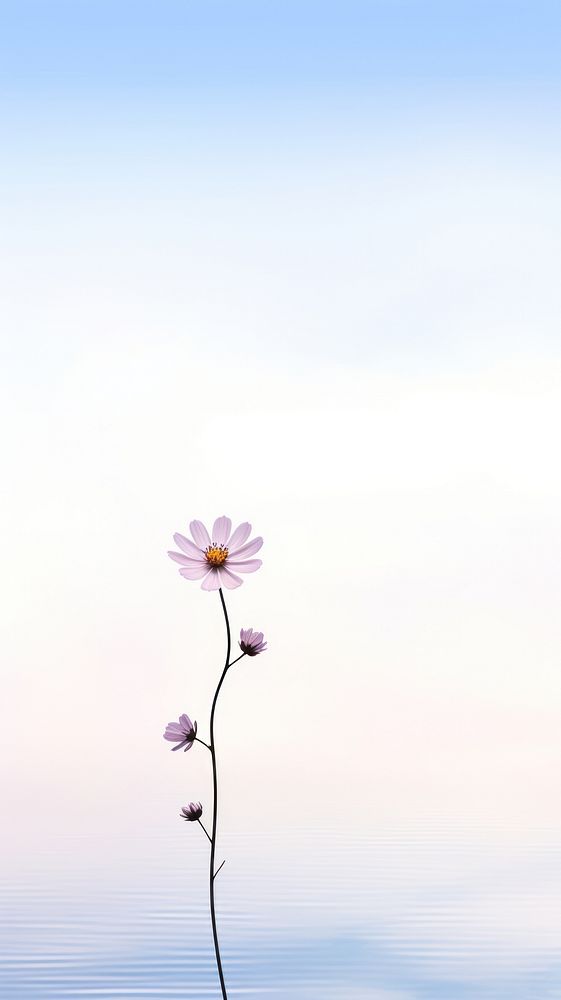  Beautiful flower wallpaper outdoors blossom nature. AI generated Image by rawpixel.