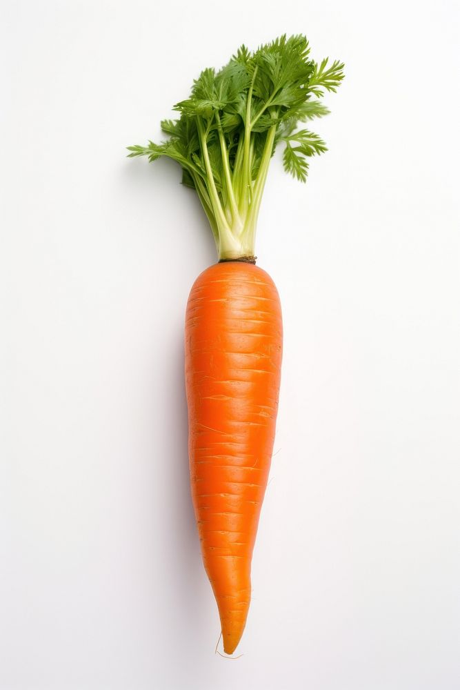 Fresh one Carrot carrot vegetable plant.