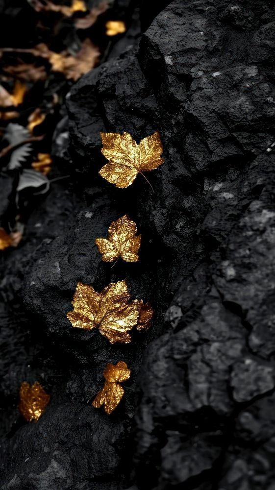 Dark background plant black leaf. | Premium Photo - rawpixel