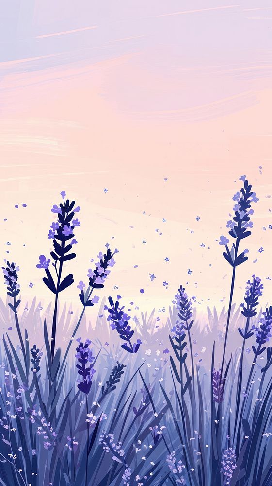 Lavender meadow backgrounds outdoors nature.