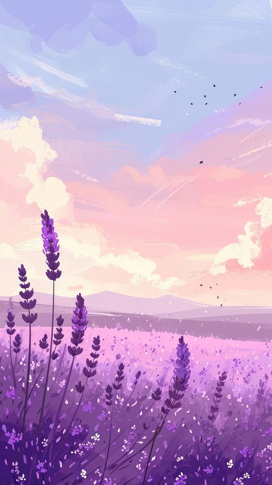 Lavender meadow and pastel sky backgrounds landscape outdoors.