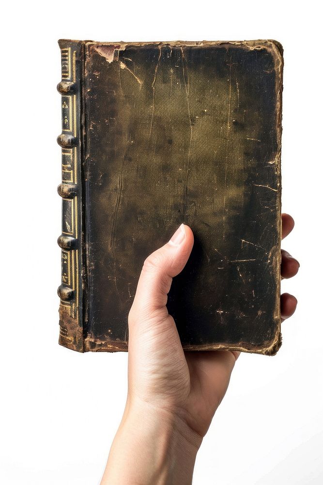 Hand Holding Bible publication holding book. AI generated Image by rawpixel.