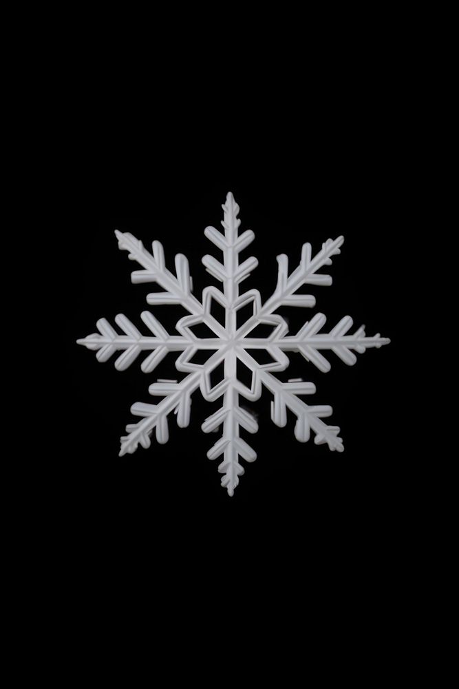 Snow flake snowflake plant black.