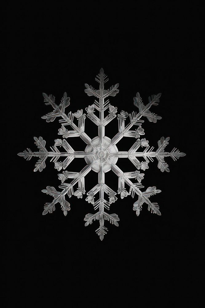Snow flake snowflake black black background.
