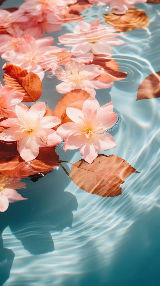  Colorful floral leaves floating on swimming pool outdoors flower nature. AI generated Image by rawpixel.