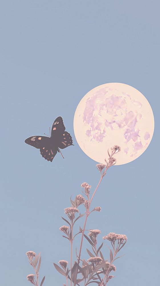 Butterfly and moon astronomy outdoors nature.