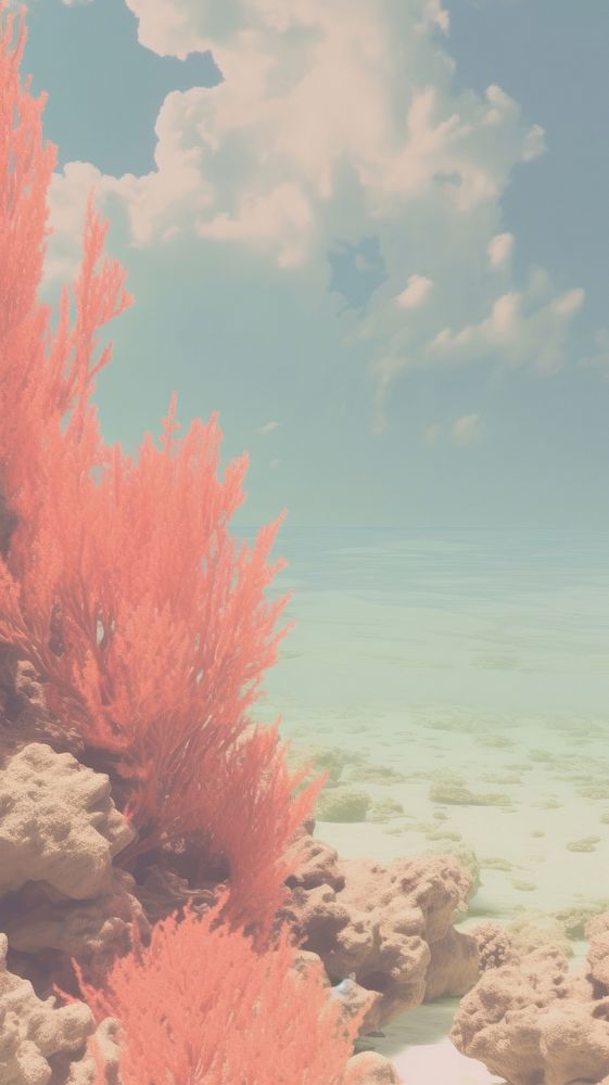 Aesthetic coral landscape wallpaper outdoors | Premium Photo - rawpixel