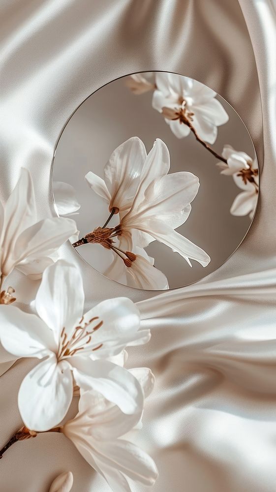 Mirror flower luxury petal.