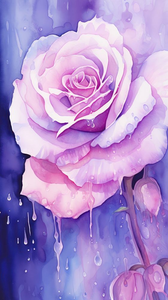  Rose blossom flower purple. AI generated Image by rawpixel.