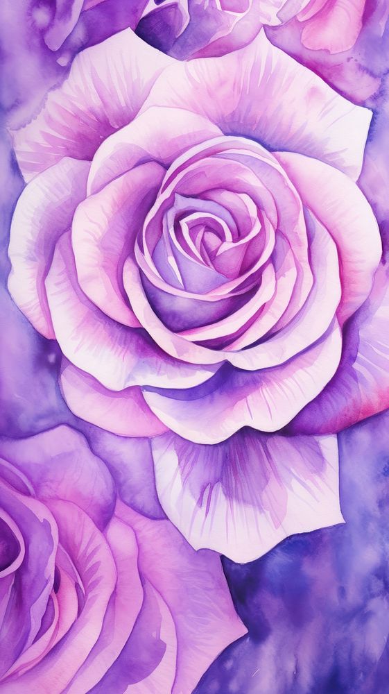  Rose purple flower petal. AI generated Image by rawpixel.