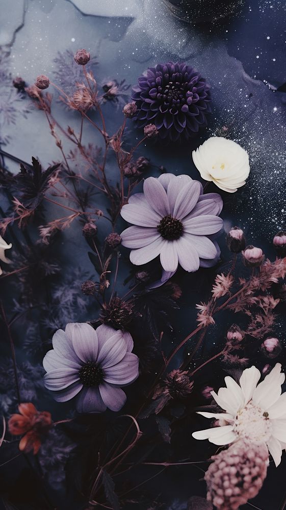  Combination of Purple flowers purple outdoors nature. AI generated Image by rawpixel.