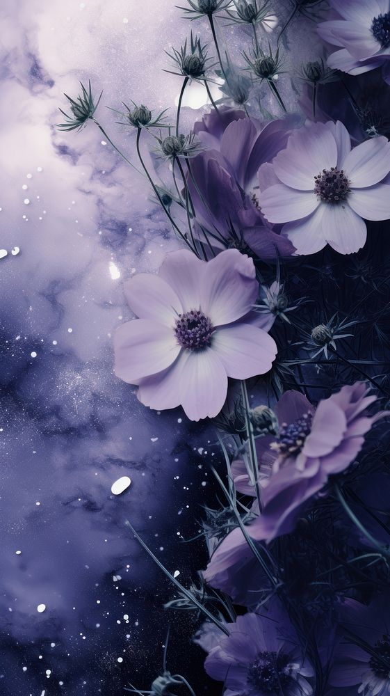  Combination of Purple flowers purple outdoors blossom. AI generated Image by rawpixel.