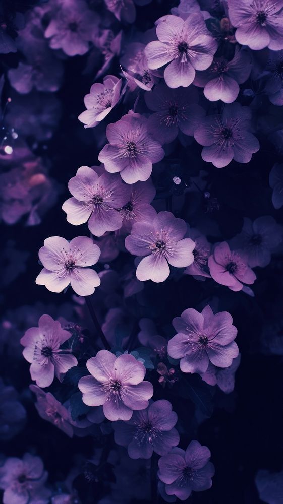  Combination purple flowers blossom plant inflorescence. AI generated Image by rawpixel.