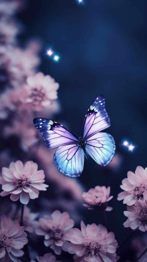  Purple flowers with butterfly outdoors animal insect