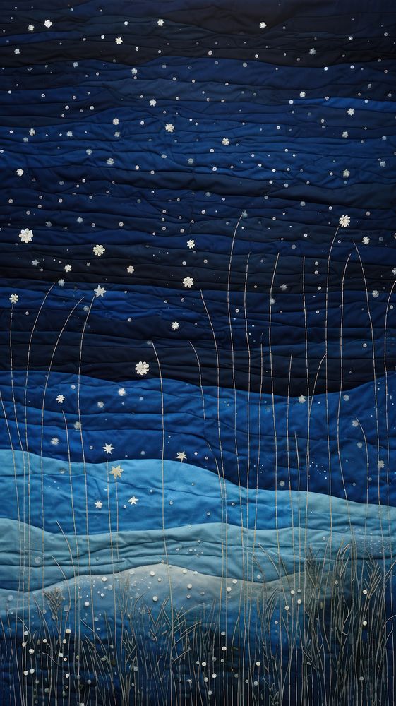 Embroidery starry sky meadow outdoors nature night.