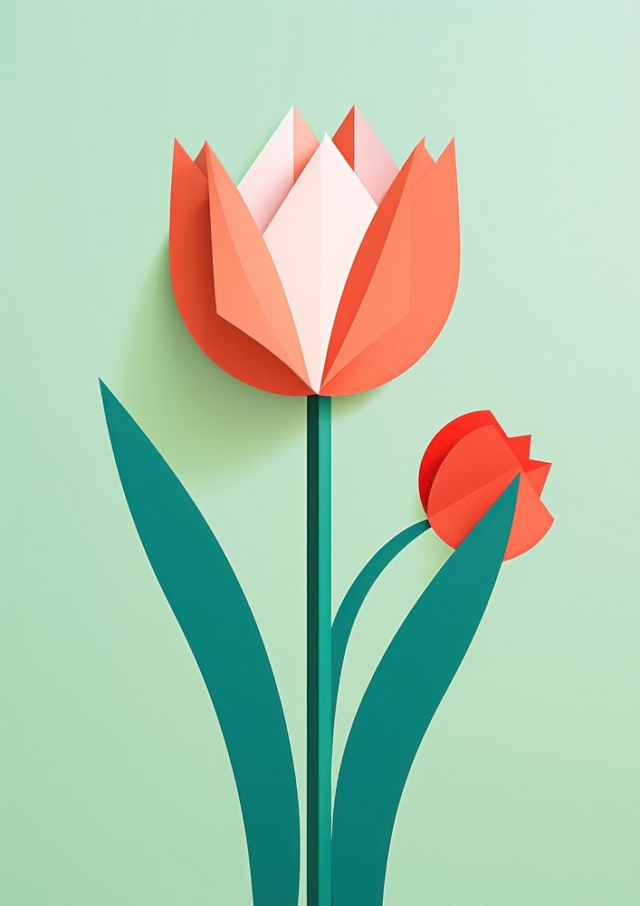 Paper cutout of a Tulip flower tulip art plant.