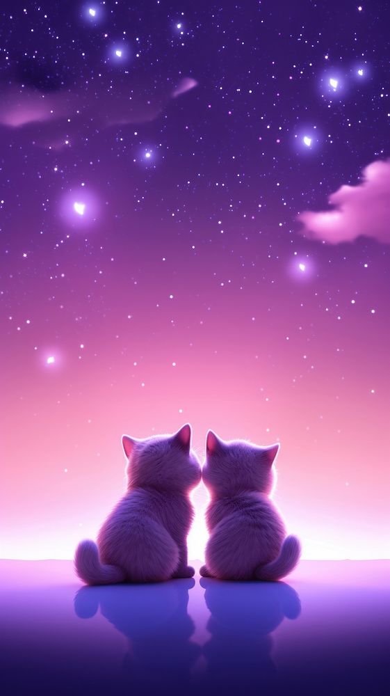  Cute two cat purple astronomy nature