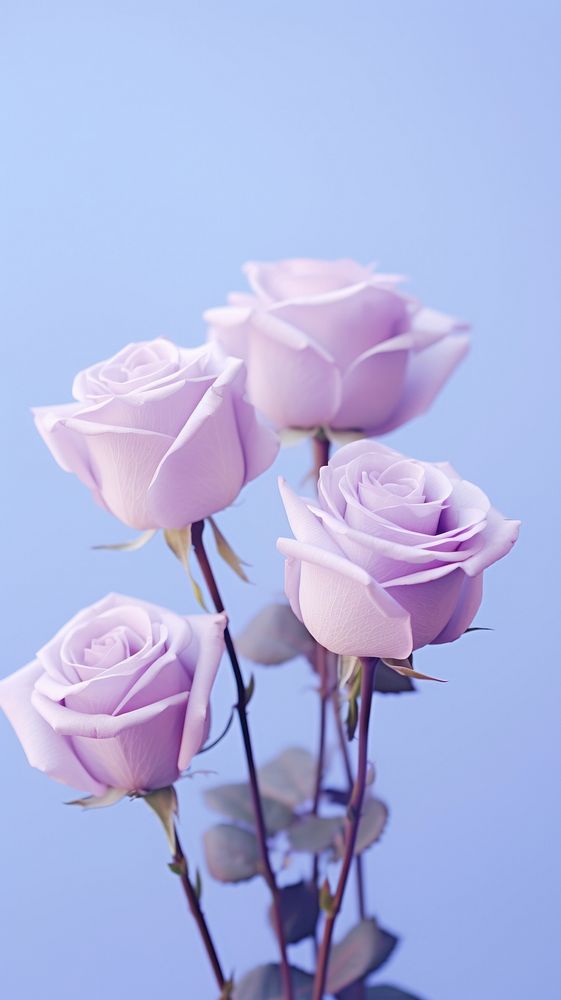  A bunch of purple roses blossom flower petal. AI generated Image by rawpixel.