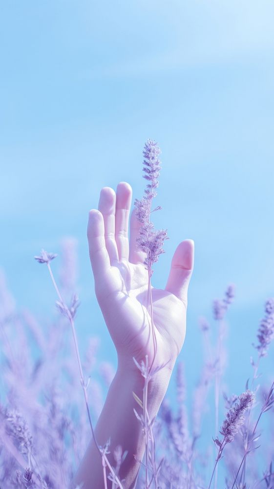  Minimal close up photo of a hand on purple meadow blossom flower finger. AI generated Image by rawpixel.