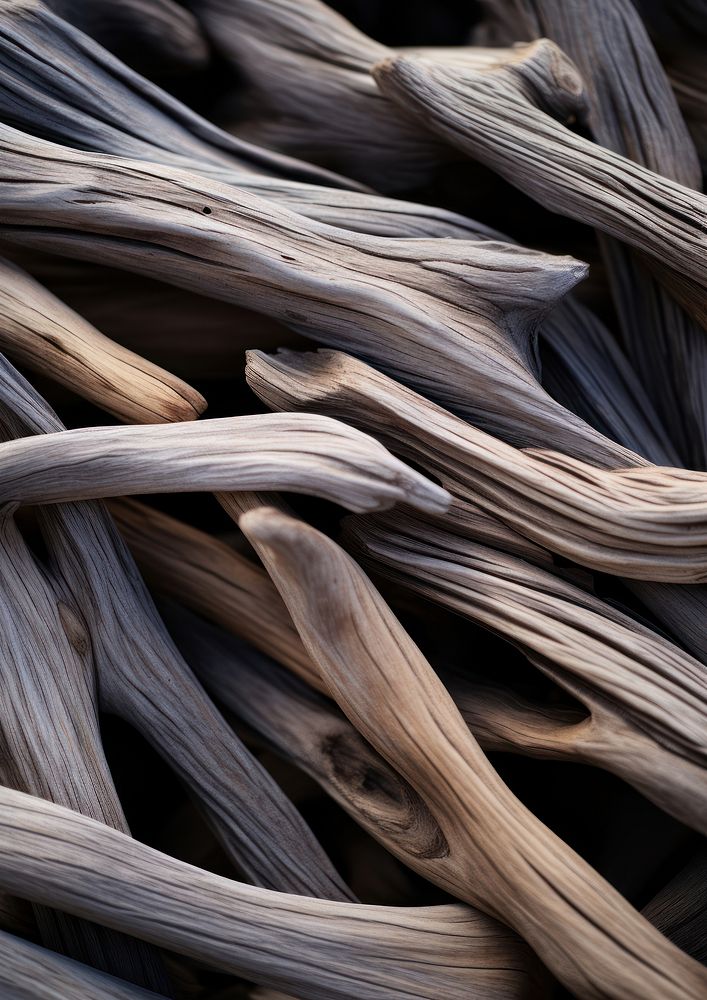  A lot of drift wood backgrounds driftwood complexity. AI generated Image by rawpixel.