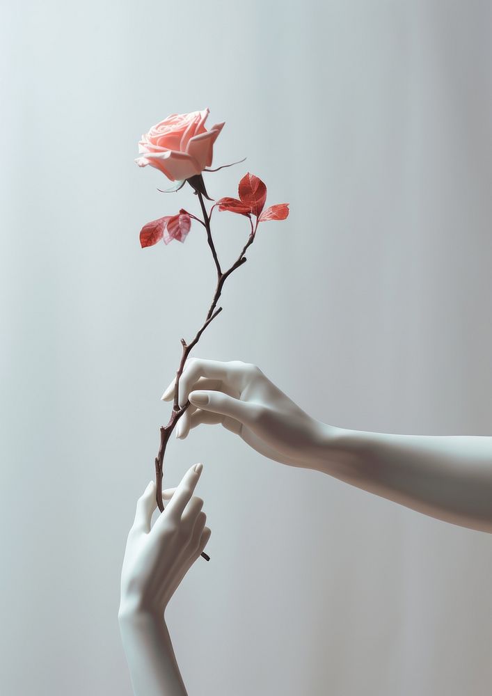  A statue holding a flower petal plant adult. AI generated Image by rawpixel.