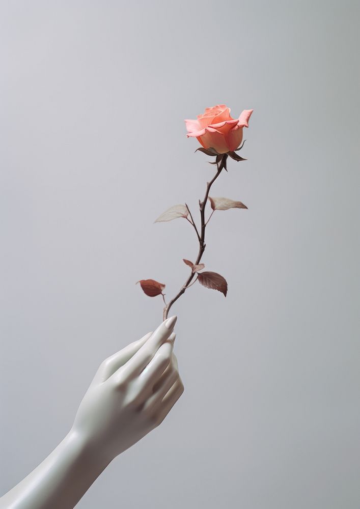  A statue holding a flower plant petal adult. AI generated Image by rawpixel.