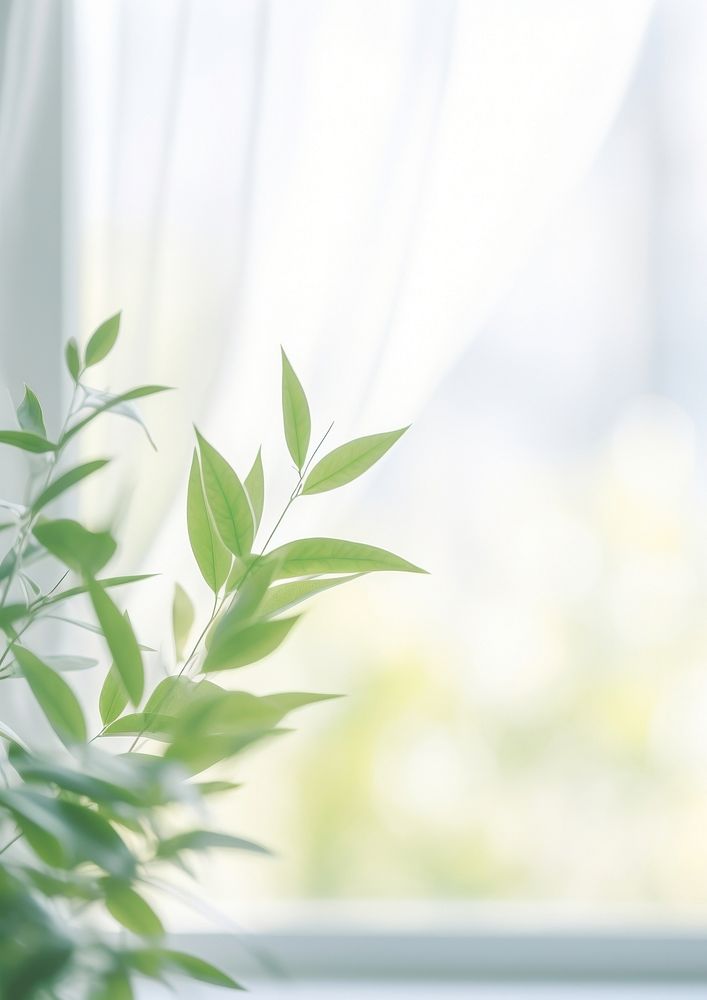  Window morning time with greenery plant leaf windowsill. AI generated Image by rawpixel.