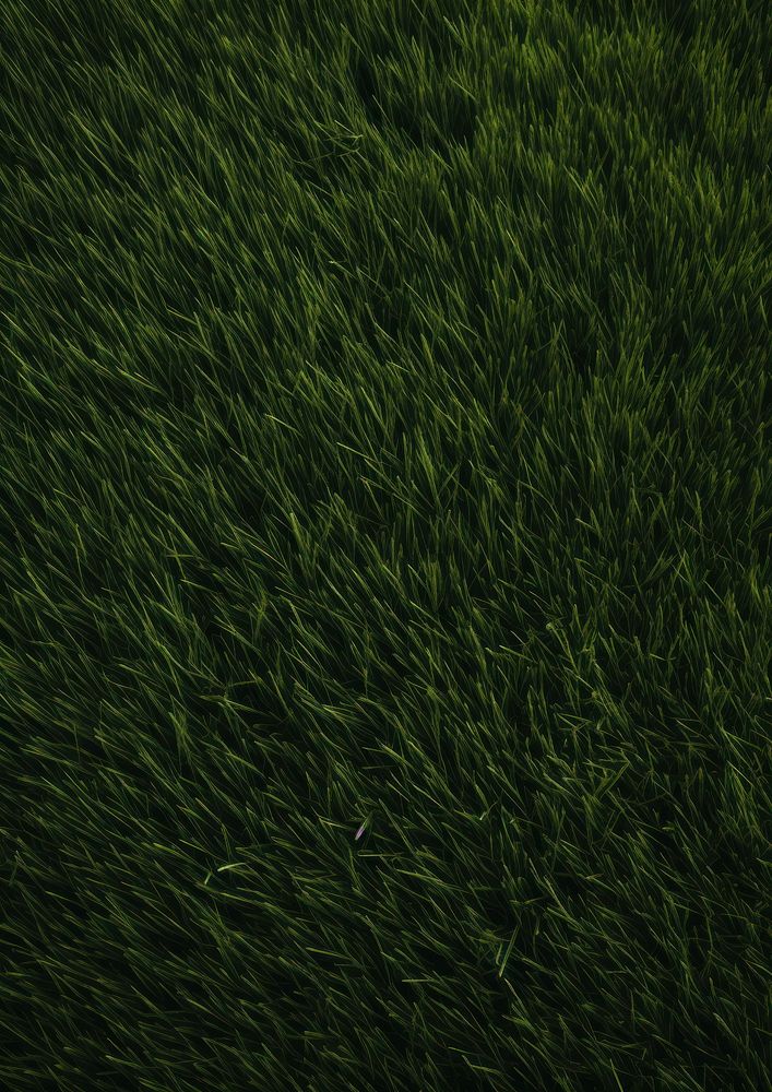  A lush green field green and brown tones backgrounds outdoors grass. AI generated Image by rawpixel.