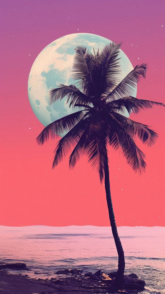  Silhouette shape of coconut tree beach astronomy outdoors. AI generated Image by rawpixel.