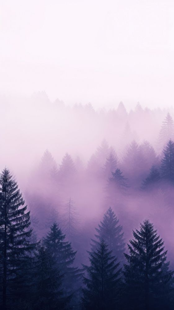  Minimal photo of a foggy forest in purple tree outdoors nature. AI generated Image by rawpixel.