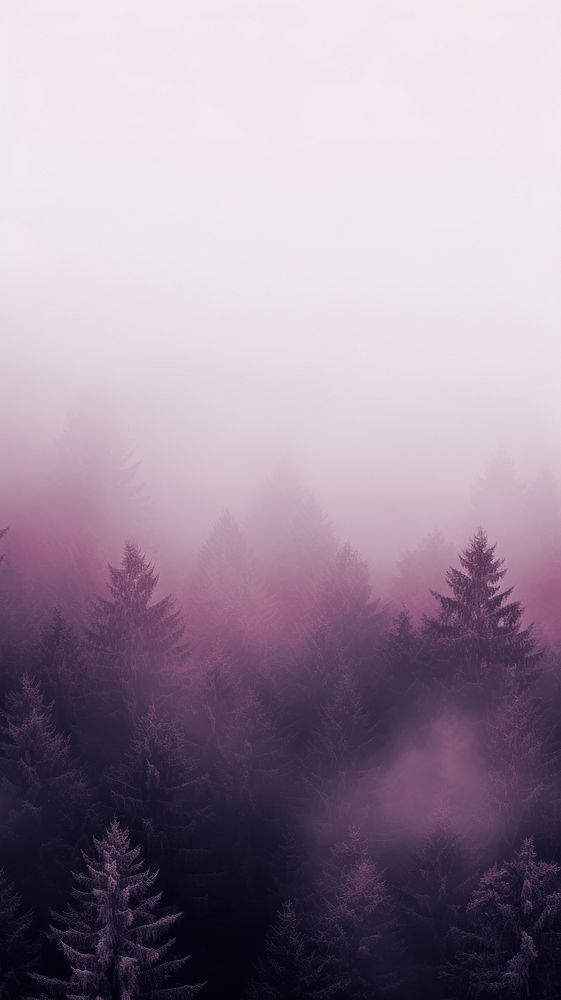 Minimal photo of a foggy forest in purple tree outdoors nature. AI generated Image by rawpixel.