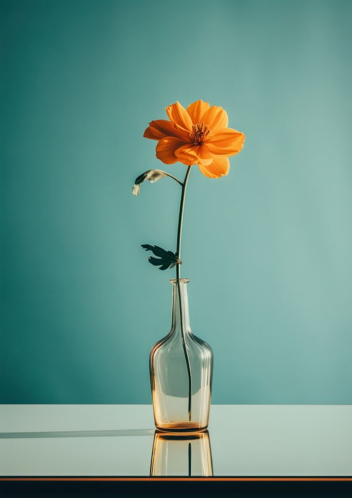 A flower in a vase on a table with mirror plant petal inflorescence. AI generated Image by rawpixel.