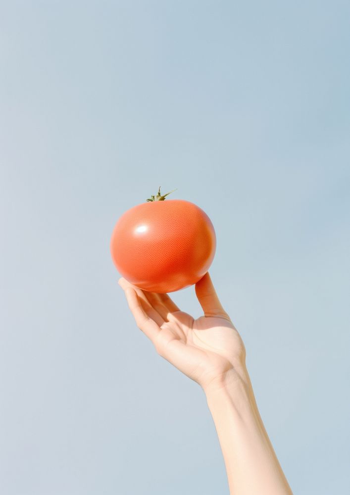 A person holding a tomato with two tomato floats in the air vegetable plant food.