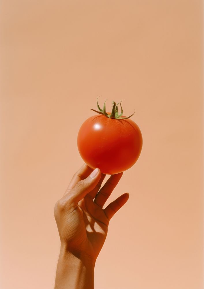 Person holding a tomato vegetable plant food.