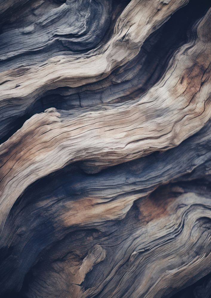 Driftwood texture backgrounds tranquility landscape.