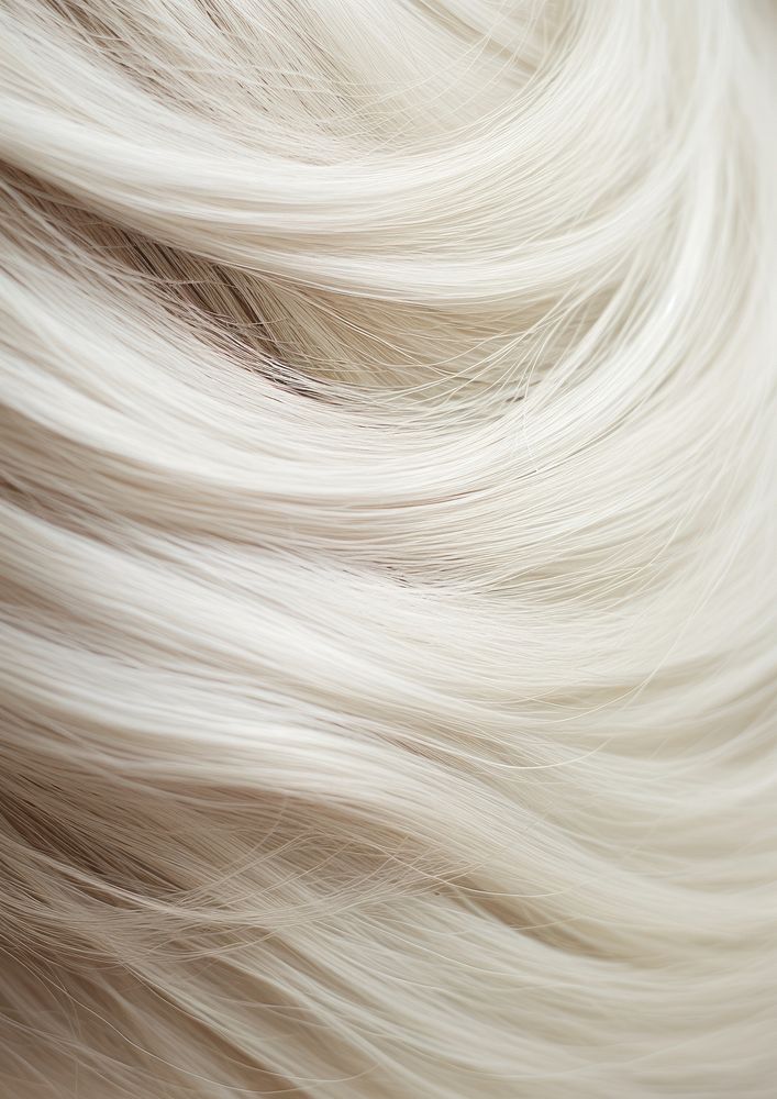 A elderly hair style backgrounds white abstract.