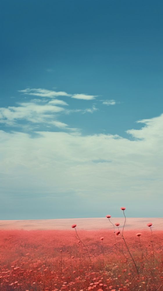 Photography of a clear nature landscape outdoors horizon.