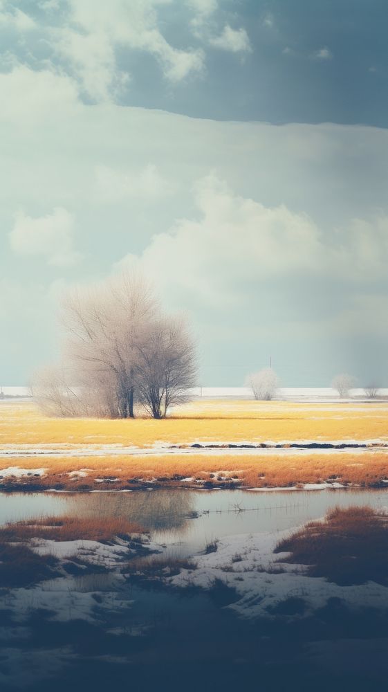 Photography of a winter nature landscape outdoors.