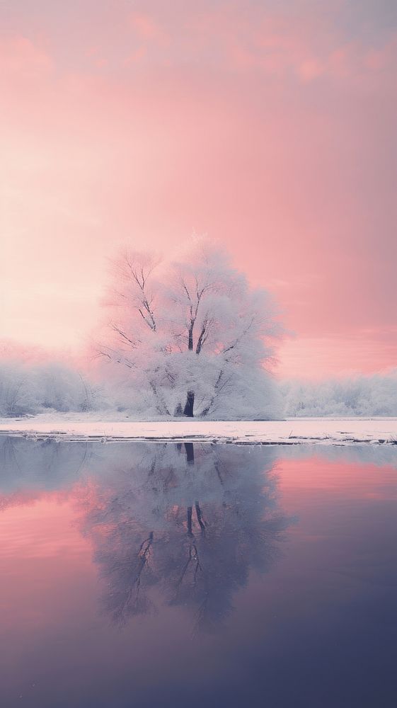 Photography of a winter nature landscape outdoors.