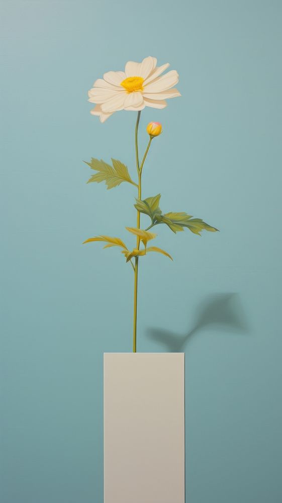 Minimal space flower plant petal vase.